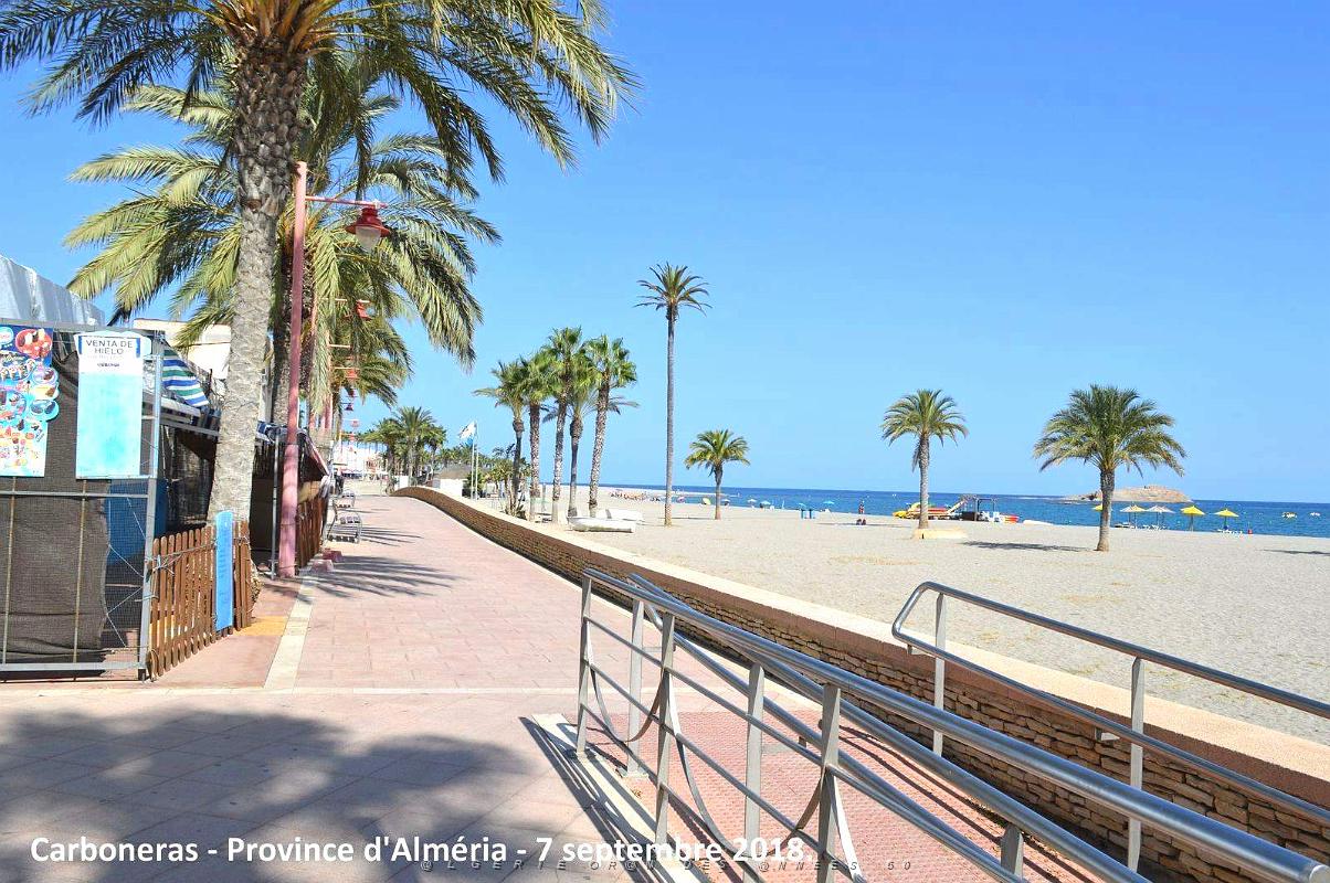 12 CARBONERAS - PROVINCE D ALMERIA 7 09 2018 (28).JPG
